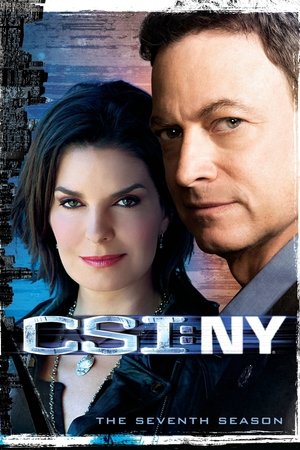 CSI: NY: Temporada 7