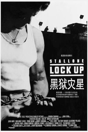 Poster 破茧威龙 1989