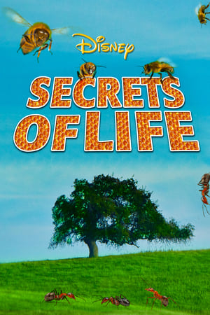 Poster Secrets of Life (1956)