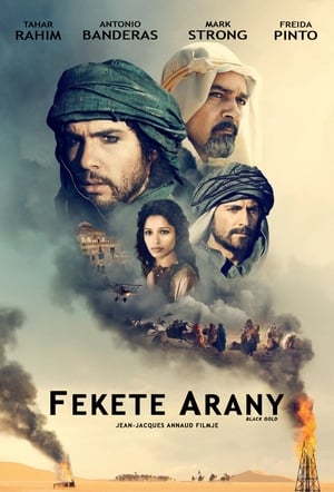 Poster Fekete arany 2011