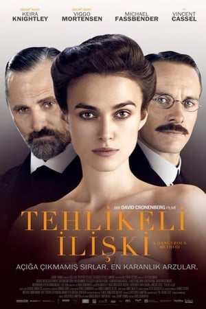 Poster Tehlikeli İlişki 2011