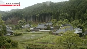 Journeys in Japan: 13×17