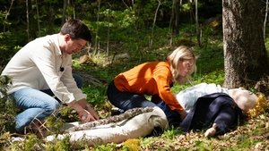 Episodio 6