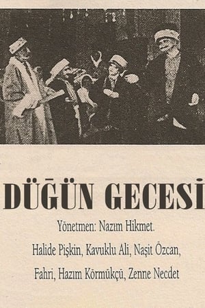 Image Düğün Gecesi