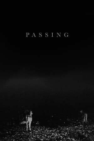 Poster Passing (2017)