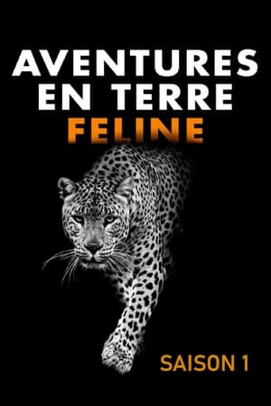 Poster Aventures en terre féline Saison 1 2018