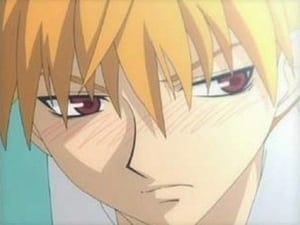 Fruits Basket: 1×19