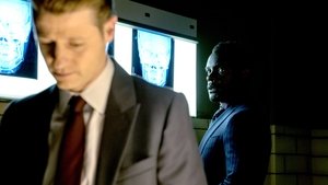 Gotham: 4 Staffel 10 Folge