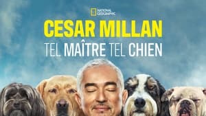 poster Cesar Millan: Better Human, Better Dog