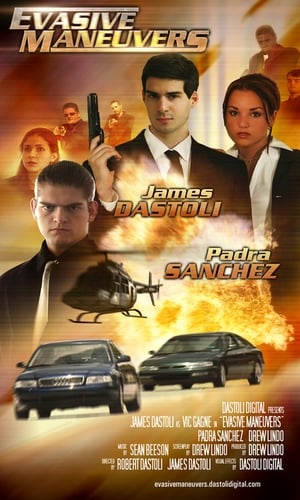 Poster Evasive Maneuvers 2004