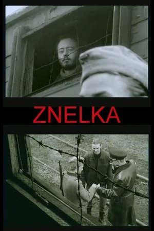 Znelka (2001)