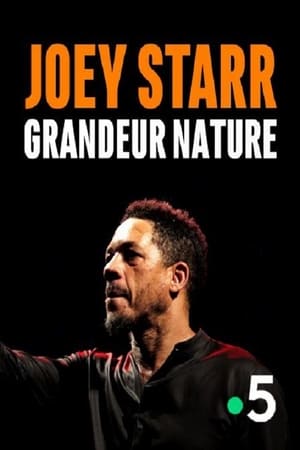 Poster Joey Starr, Grandeur Nature 2019