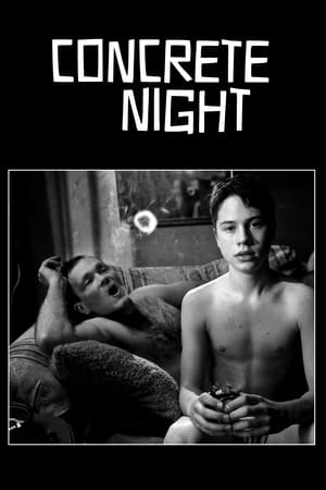 Poster Concrete Night (2013)