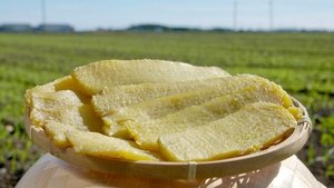 Journeys in Japan: 11×26