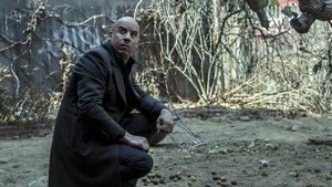 The Last Witch Hunter (2015)