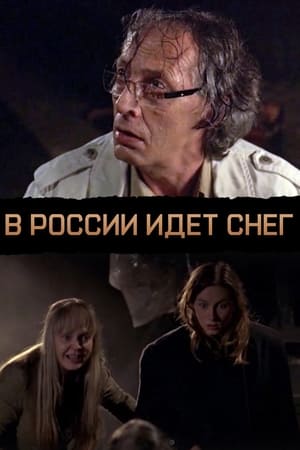 Poster В России идет снег 2010