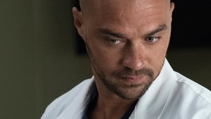 Grey’s Anatomy 14 – Episodio 1