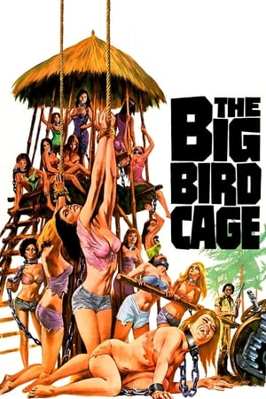 Poster Большая клетка для птиц 1972