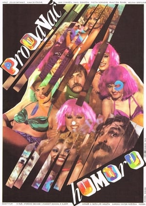 Poster Prodavač humoru (1984)