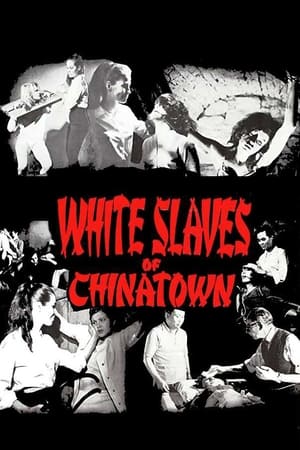 Image White Slaves of Chinatown