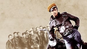 The Wild One film complet