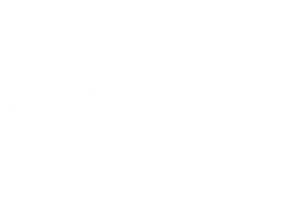 Elvira's Haunted Hills