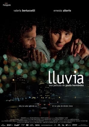 Poster Lluvia 2008