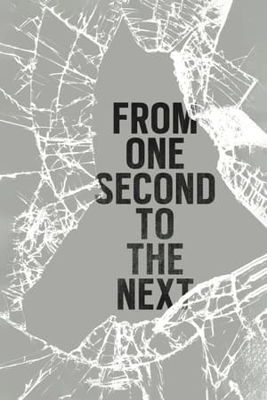 Poster From One Second to the Next (2013)