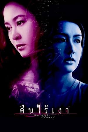 คืนไร้เงา (2003)