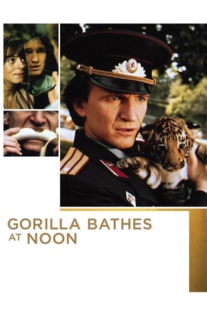 Image Gorilla Bathes at Noon