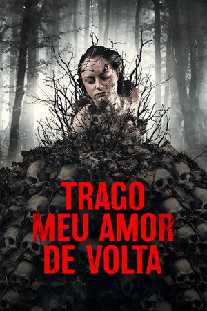 Trago Meu Amor de Volta