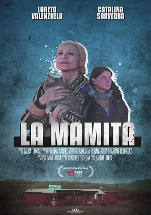 Ver La Mamita película completa en línea 2020 