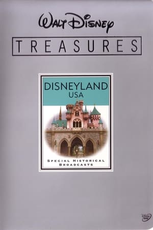 Walt Disney Treasures - Disneyland USA poster