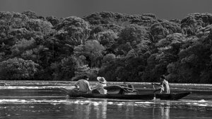 Embrace of the Serpent(2015)