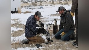 Building Off the Grid: Big Sky Ranch The Bison Come Home