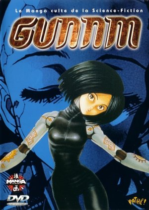 Gunnm (1993)