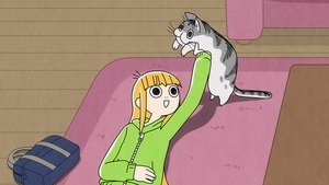 Nights With a Cat: 1×9