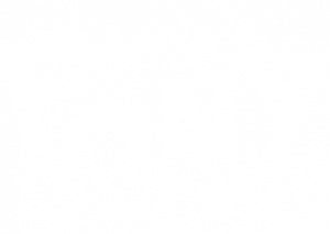 Annie & Pony — logo