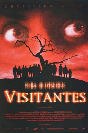 Poster Visitantes 2003