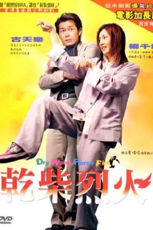 Poster 干柴烈火 2002