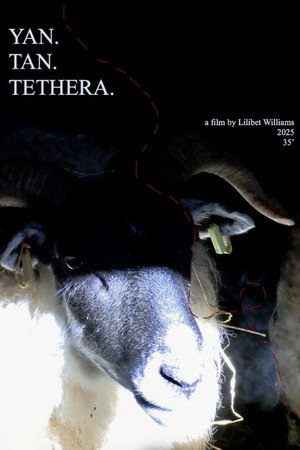 Yan.Tan.Tethera (2025)