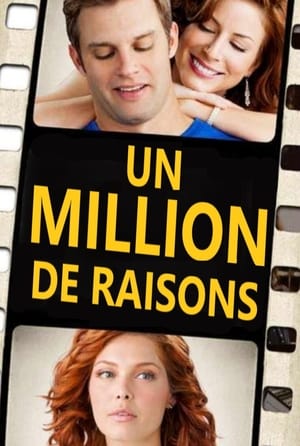 Poster Un million de raisons 2013