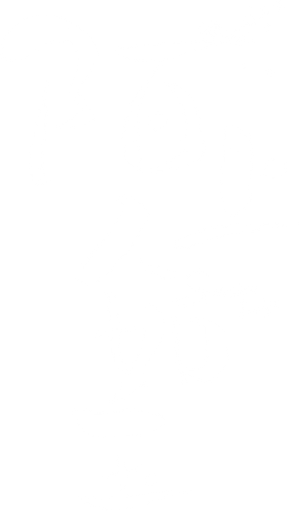 Special Lady — Logos 2