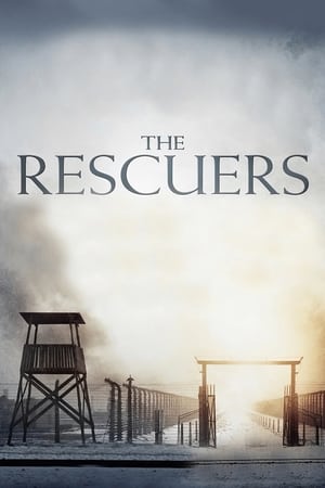 Poster The Rescuers 2011
