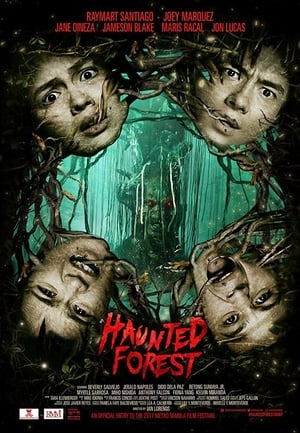 Haunted Forest poster