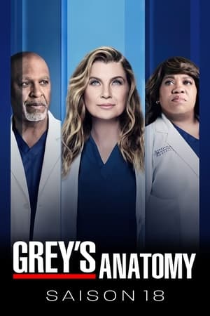 Grey's Anatomy: Saison 18