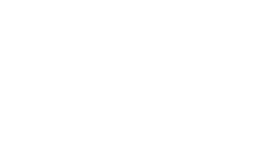 The Source — Logos 12