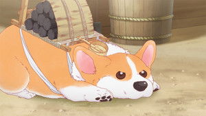 The Corgi and the Samurai: 1×9