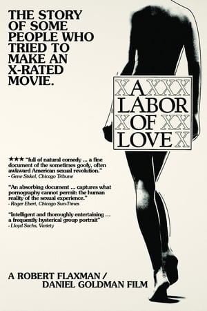 A Labor of Love poster