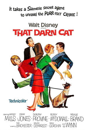 Постер фильма «Эта дикая кошка (1965)» — (11 из 27)